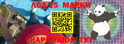 Альфа ПВП Новодвинск