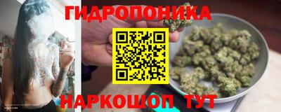 Альфа ПВП Новодвинск
