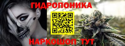 Альфа ПВП Новодвинск