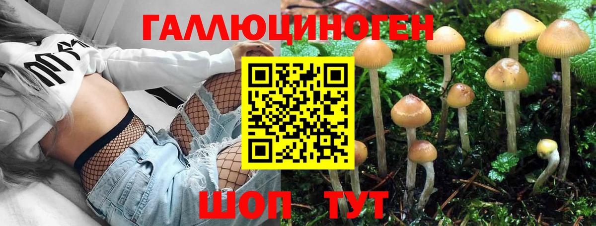 Псилоцибиновые грибы прущие грибы Шелехов