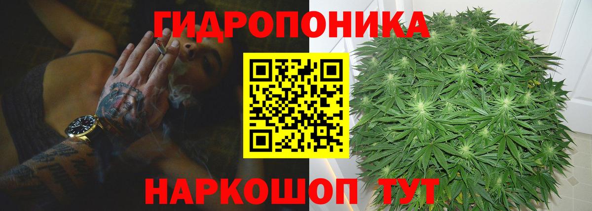 Шишки марихуана план  Конопля марихуана  Марихуана LSD WEED  Вход с VPN  Шелехов  Каннабис Amnesia 